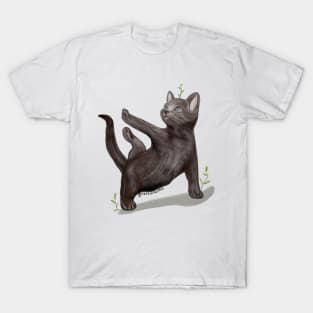 Yoga Cat T-Shirt